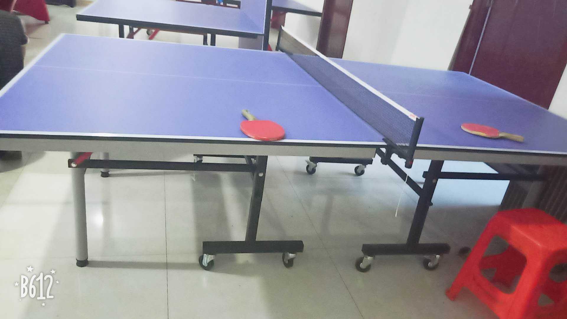 室內單折移動乒乓球臺